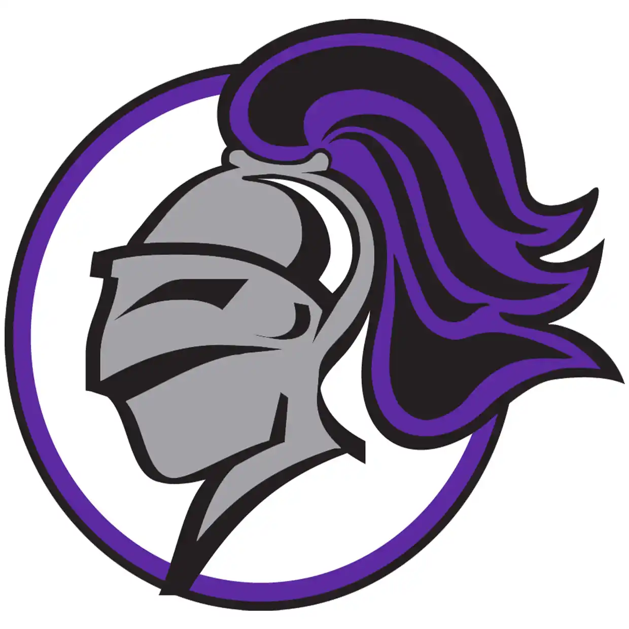 Beloit_Memorial__WI__Purple_Knights_Logo